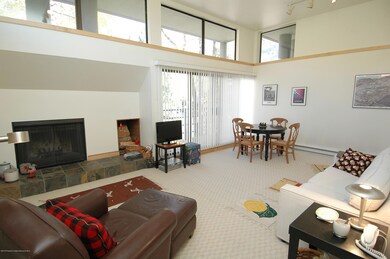 311 S Aspen St unit 6, Aspen, CO 81611 - photo 2