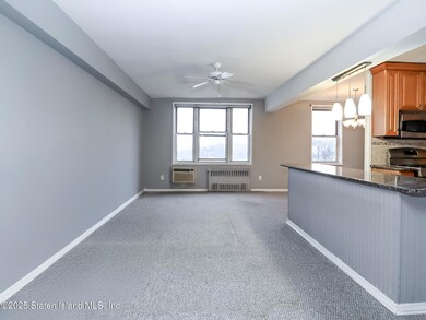 Fort Place Cooperative unit B5D, Staten Island, NY 10301 - photo 6