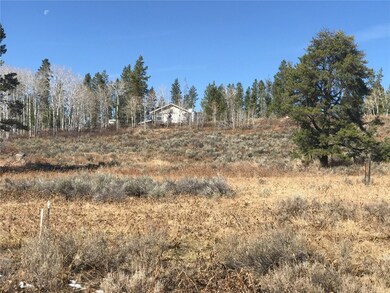 33512 Seneca Trail, Oak Creek, CO 80467 - photo 3