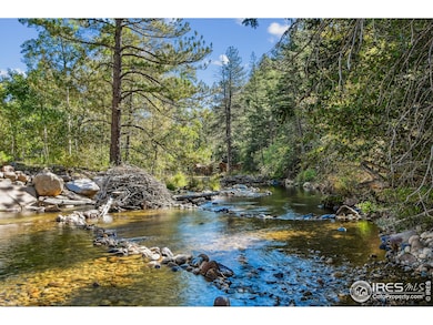 511 Riverside Dr, Lyons, CO 80540 - photo 5