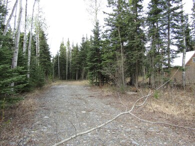 TR C-3 Tanana Loop Ext 002