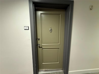 Grant Park Condos unit 209, Denver, CO 80203 - photo 5