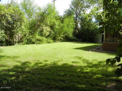 Backyard 1