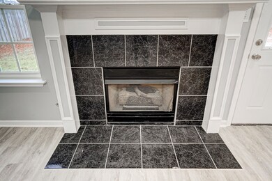 working gas fire place
