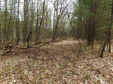 730 Clayton Rd, Sheffield, MA 01222 - photo 5