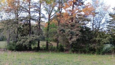 0 Cannady Mill Rd, Franklinton, NC 27525 - photo 7