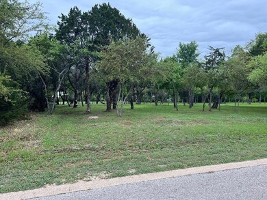 27019 Stonewood Dr, Whitney, TX 76692 - photo 4