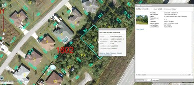 Screenshot_2021-01-18 Saint Lucie County