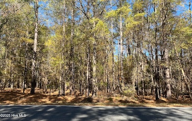 1646 Morgan Sellers Rd, Wadesboro, NC 28170 - photo 2