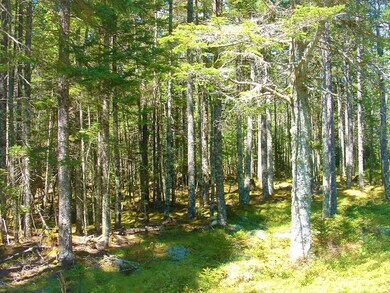 Lot 7B Duck Cove Rd, Roque Bluffs, ME 04654 - photo 2