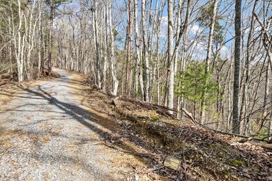 Lot 17 Meadow View Rd, Sevierville, TN 37862 - photo 2