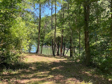 13 & 13A River Trail, Martin, GA 30557 - photo 4