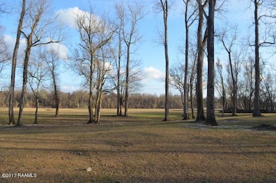 13 Callie Dr, Breaux Bridge, LA 70517 - photo 2