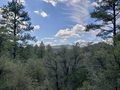 Distant Mountain Views