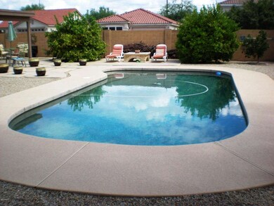 Citrus & Pool