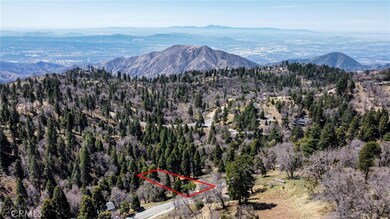 31019 Old City Creek Rd, Running Springs, CA 92382 - photo 4