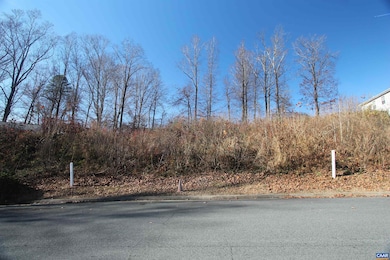 TBD Barnsdale Rd, Piney Mountain, VA 22911 - photo 2