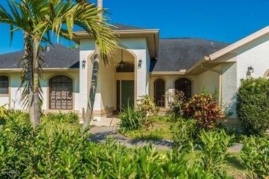 TROPICAL LANDSCAPING
