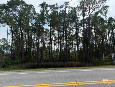 0 W State Highway 180 unit Lots 14-15-16 385011, Gulf Shores, AL 36542 - photo 2