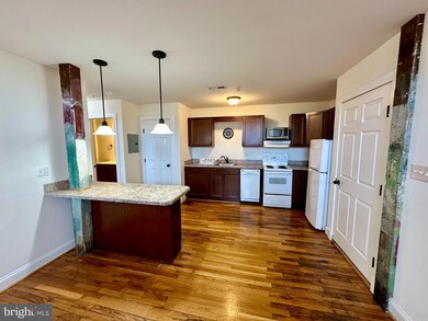 302 N Cameron St unit 202, Winchester, VA 22601 - photo 5