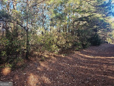 2199 Rehoboth Rd, Griffin, GA 30224 - photo 6