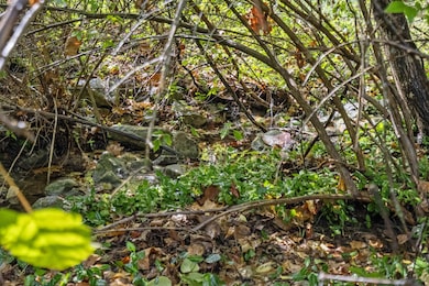 2450 E German Ivy, Springfield, MO 65804 - photo 7