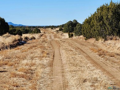 TBD Ponderosa Ranches Trail, Pie Town, NM 87827 - photo 5