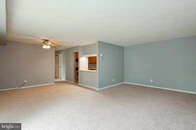 103 Fitz Ct unit 104, Reisterstown, MD 21136 - photo 6