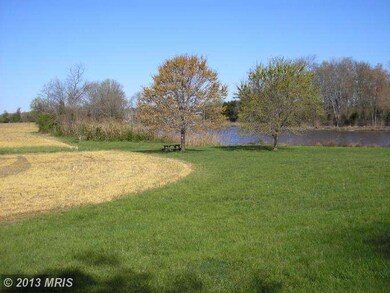 6928 Rock Hall Rd, Rock Hall, MD 21661 - photo 4