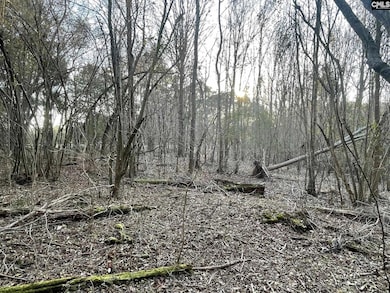 TRACT 2 S Carolina 219, Pomaria, SC 29126 - photo 4