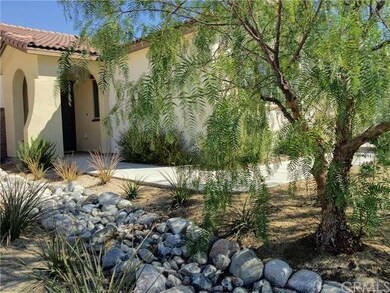 Drought tolerant landscaping with great curb appea