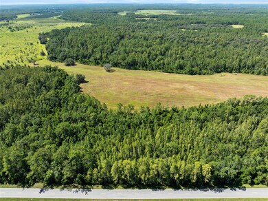 0 Deen Still Rd unit MFRO6337157, Polk City, FL 33868 - photo 2