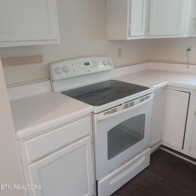 Great Electric Range