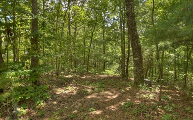 Additional View