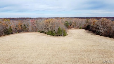 Tract 3 Polston Ln, Hickory Grove Township, MO 63357 - photo 3