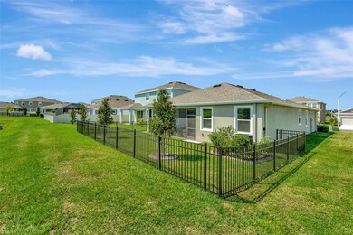 16633 Mooner Plank Cir, Wimauma, FL 33598 - photo 6