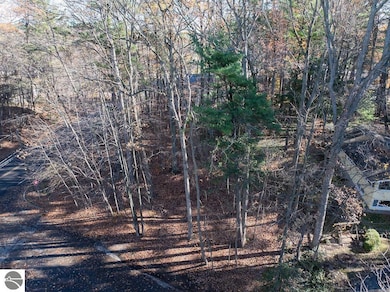 1242 Randall Ct, Traverse City, MI 49686 - photo 6