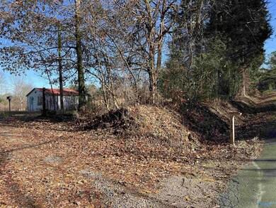 Tract 16 Peach Orchard Rd, Menlo, GA 30731 - photo 3