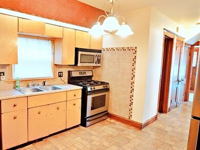 1027 S East Ave, Oak Park, IL 60304 - photo 6