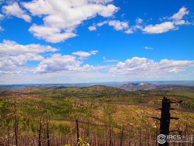 0 Davis Ranch Rd unit 785073, Bellvue, CO 80512 - photo 3