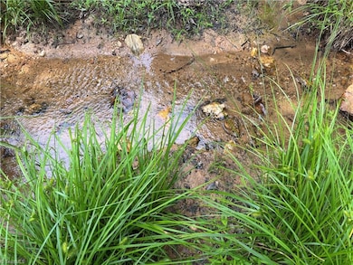 00 Caudle Rd, Pinnacle, NC 27043 - photo 3