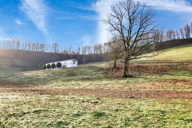706 Petty Branch Rd, Pulaski, TN 38478 - photo 3
