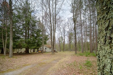 13020 Alger Ave, Bitely, MI 49309 - photo 4