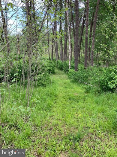 1533 Constant Run Rd, Great Cacapon, WV 25422 - photo 3