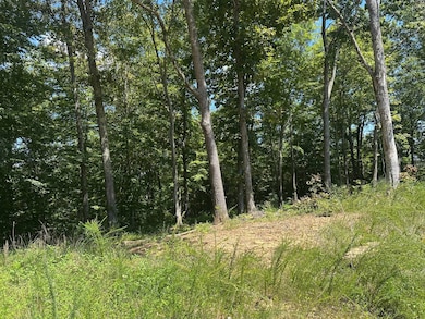 0 the Village of Dale Hollow unit 12, Burkesville, KY 42717 - photo 2