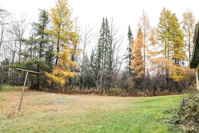 7839 Stromberg Rd, Embarrass, MN 55732 - photo 4