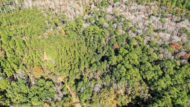 0 Dap Rd E, Big Point, MS 39562 - photo 6