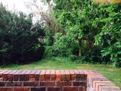 view from patio