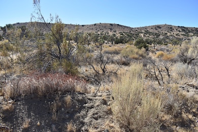 8100 Weber Ranch Rd, Palmdale, CA 93550 - photo 4