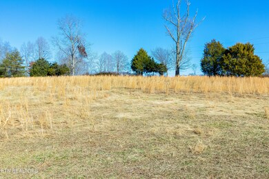 IMG_9754